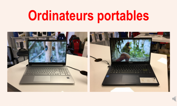 Professionnel pour la vente de matériel informatique : ordinateurs tout en un, portables, de bureau, tablettes, claviers, souris, Craponne-sur-Arzon