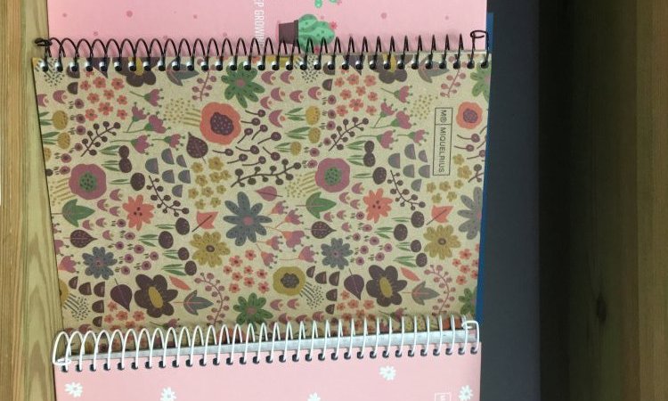 MAXI FOLIO vend cahiers MIQUELRIUS NOTEBOOK EMOTIONS à Craponne-sur-Arzon